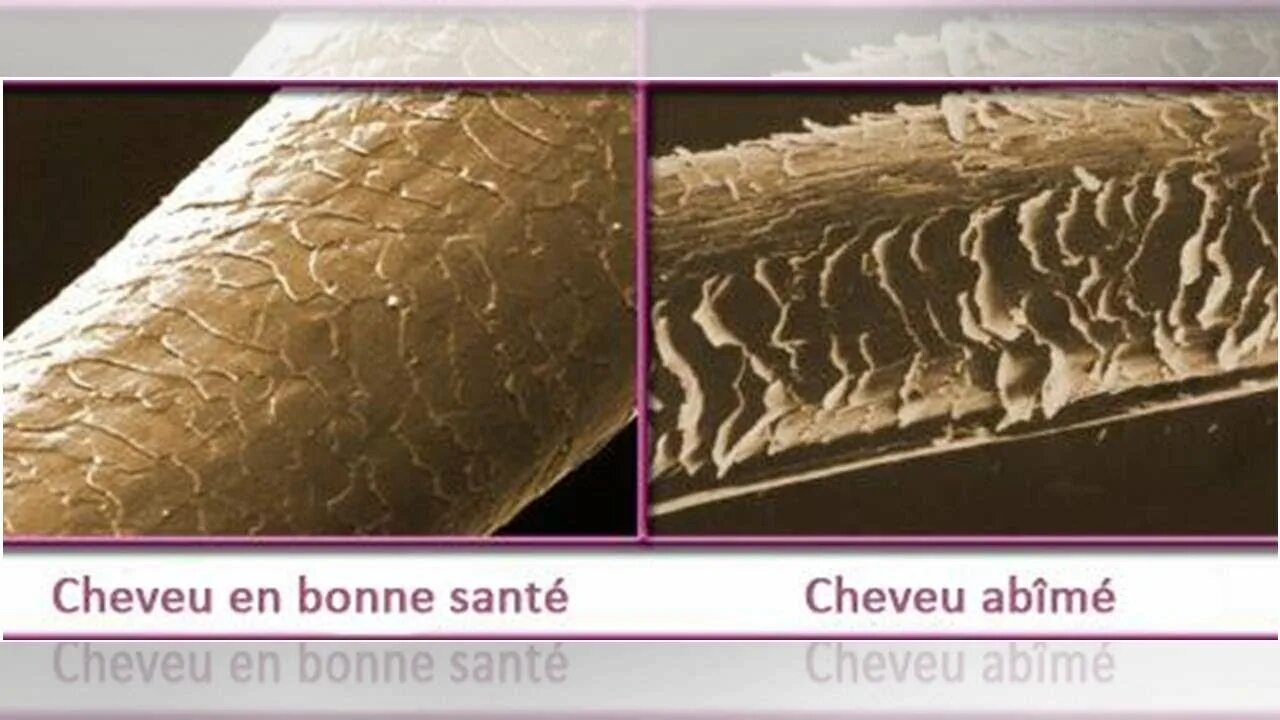 Hair Porosity Chart Hair porosity, Chemically damaged hair, Best hairdresser