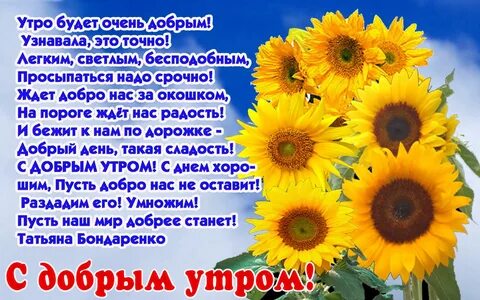 Отзывы о добром утре