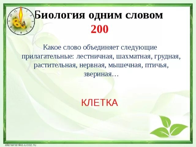 06.03 01 биология. Биология-одним словом задания. Спиранты биология одним словом.