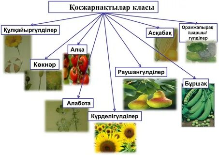 Лесби порно: Үлкен ерлі-зайыптылар жас қызды азғырады. Бейнені қараңыз.