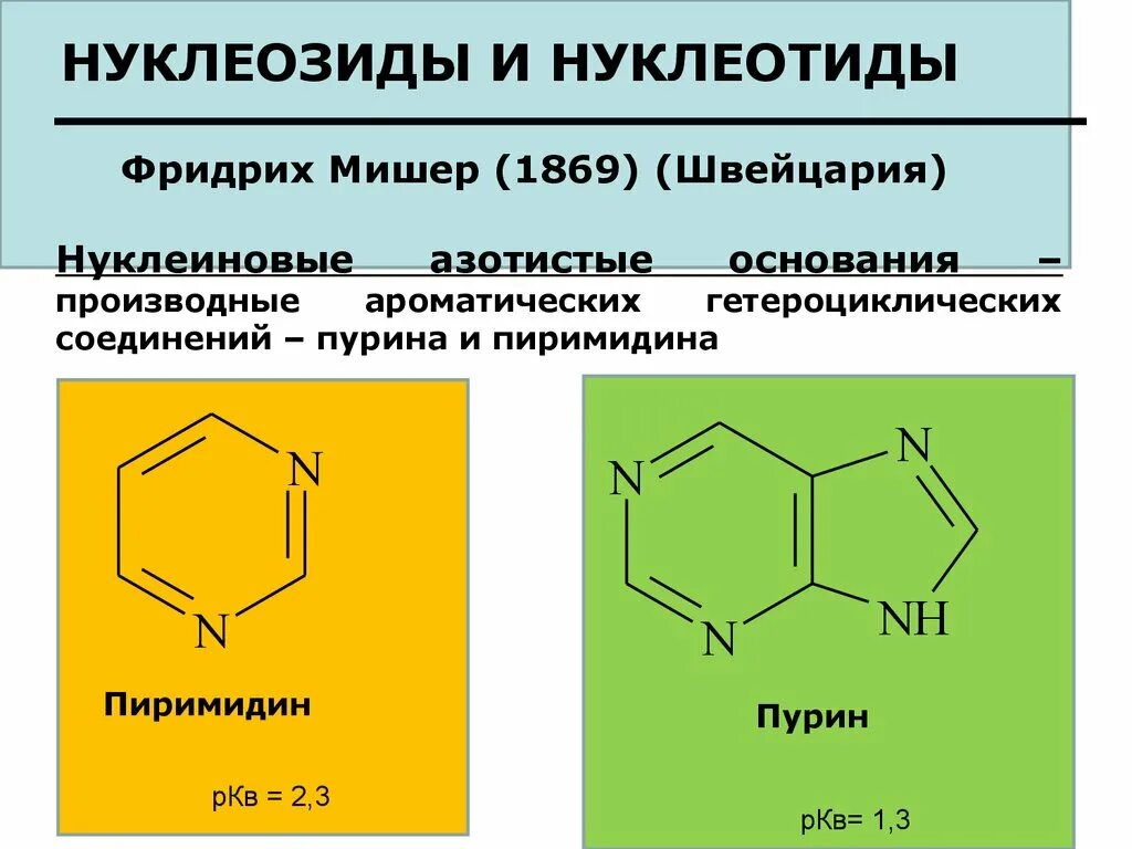 Формулы нуклеотидов. Строение гетероциклических оснований и нуклеозидов. Нуклеотид и нуклеозид. Строение нуклеозидов. Строение нуклеозидов и нуклеотидов.