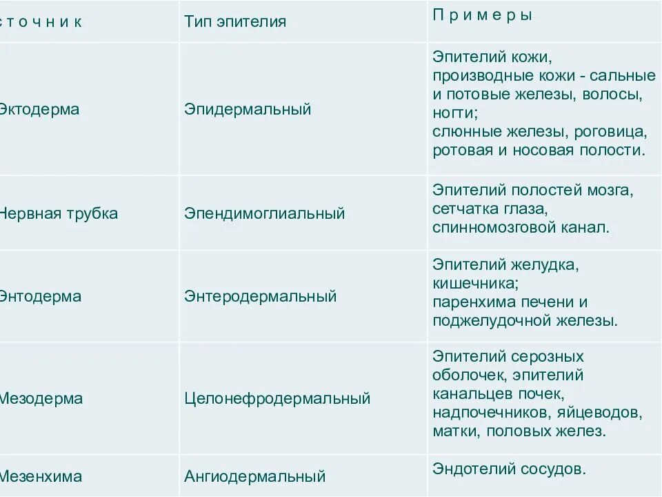 Тканевый уровень организации. Уровни организации ткани. Органно тканевый уровень организации жизни. Процессы жизнедеятельности тканевого уровня.