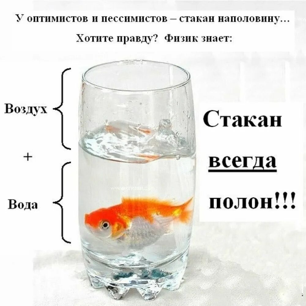 Наливаем воды полстакана. Стакан наполовину полон. Стакан наполовину полон или наполовину пуст. Стакан на половину Нолан. Стакан на половину ПУВТ или полон.