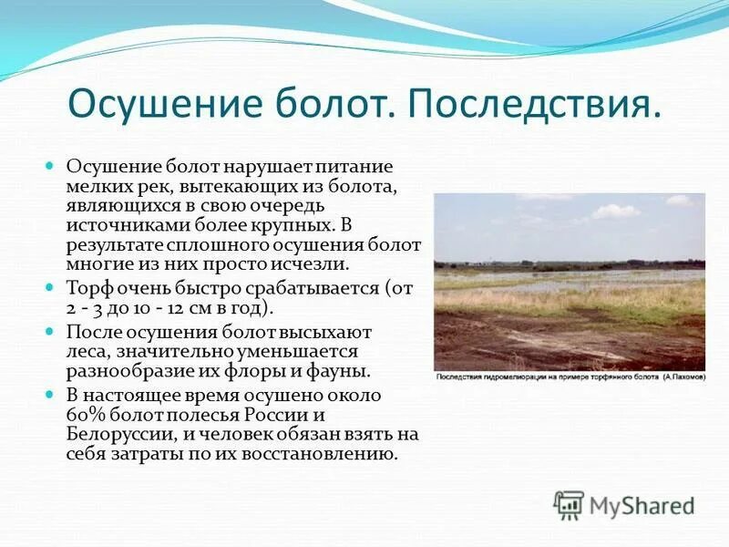 Экологическая группа болот. Осушение болот. Мелиорация осушение болот. Осушение болот мелиорация болот. Последствия осушения болот.