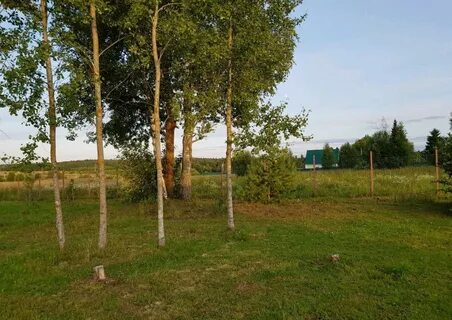 Погода в холмец шаховского