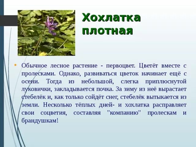 Весеннее пробуждение растений тест. Весеннее Пробуждение растений 2 класс окружающий мир. Весеннее Пробуждение растений 2 класс перспектива презентация. Весеннее Пробуждение растений 2 класс презентация.