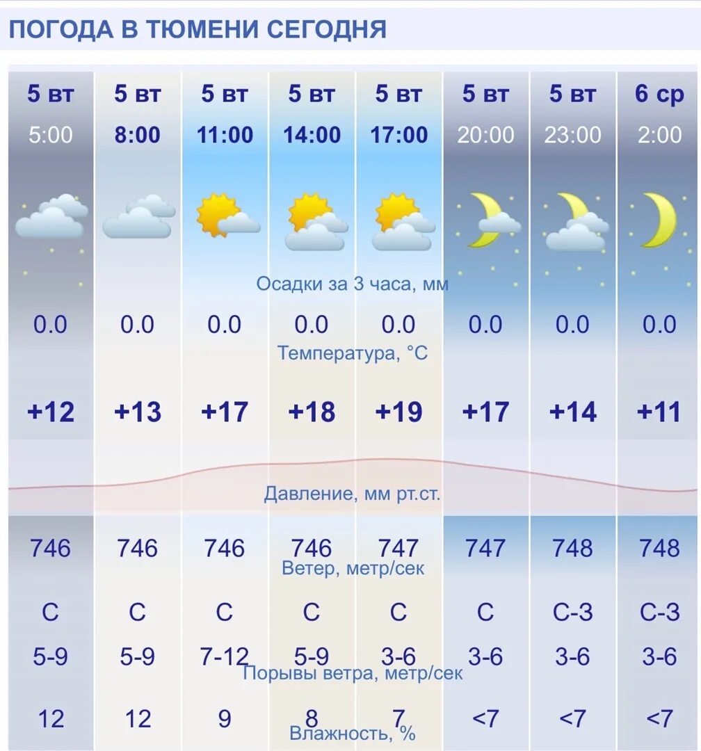 Погода в Тюмени. Прогноз погоды на июль 2022. Погода на июль. Погода в Тюмени сегодня. Точная погода гомель почасовая