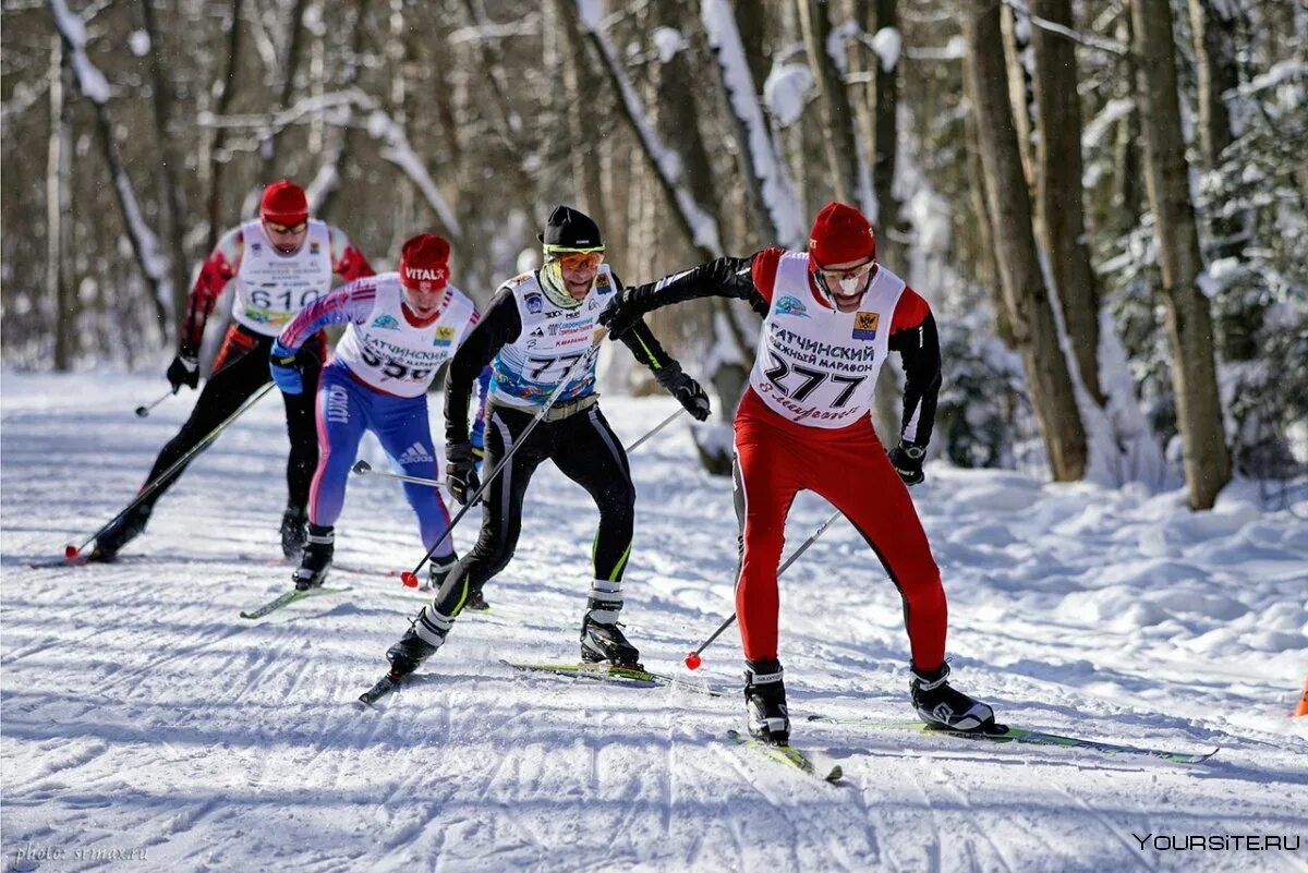 Виды гонок на лыжах