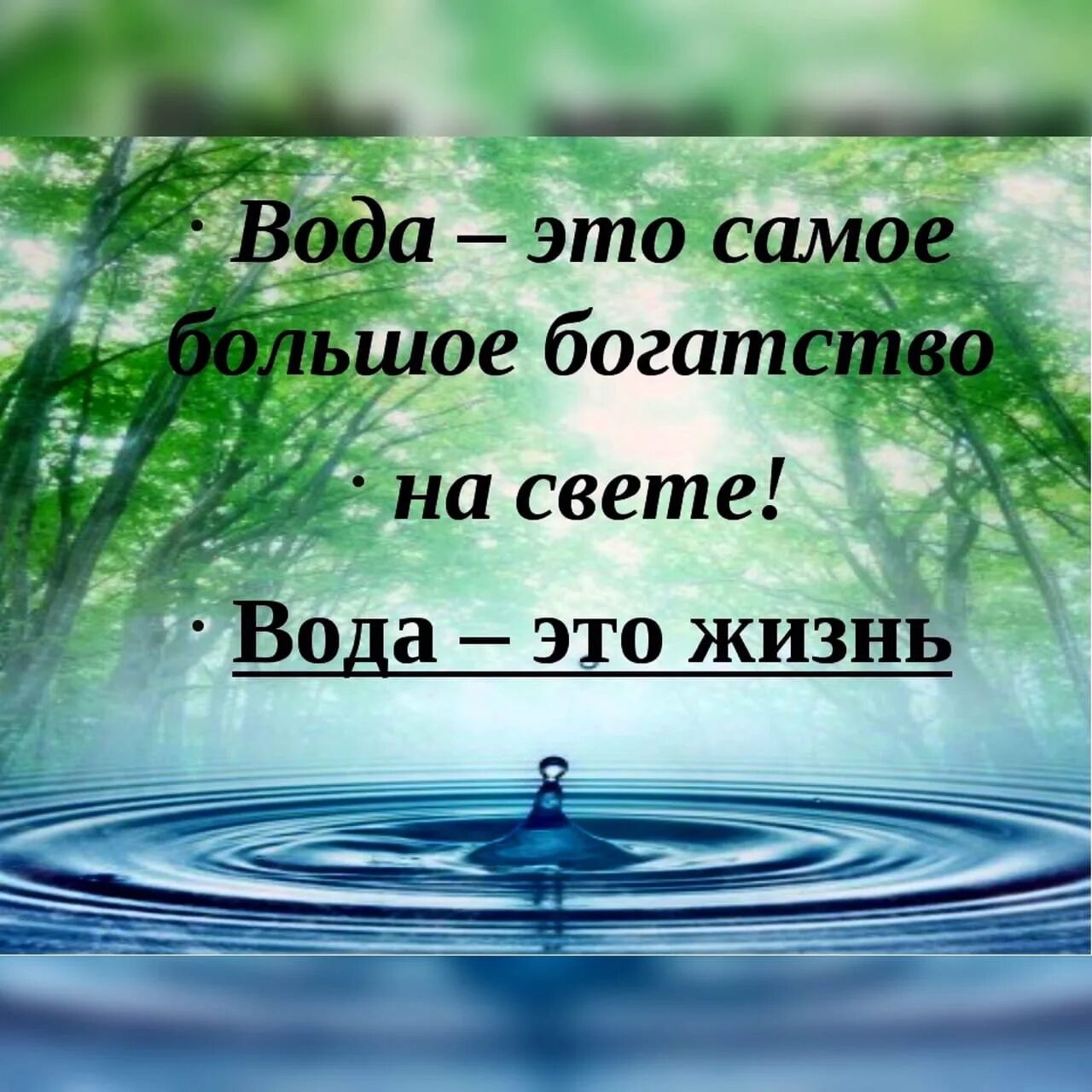 Цитаты про воду. Красивые цитаты про воду. Афоризмы про воду. Вода это жизнь. Девиз вода