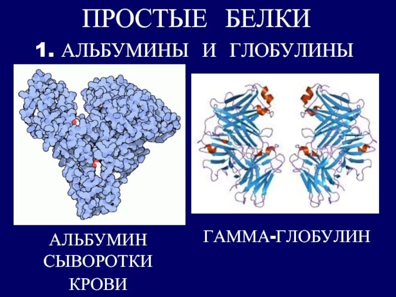 Белок крови глобулин. Глобулины структура биохимия. Белок альбумин структура белка. Альбумины и глобулины строение. Строение альбуминов и глобулинов.