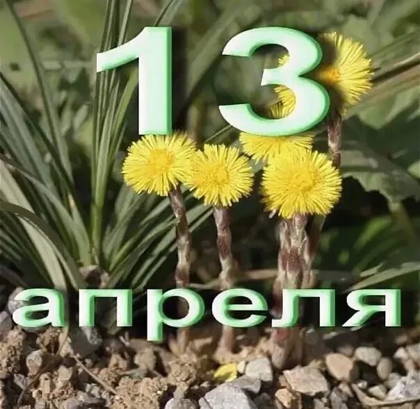 1 в 1 13 апреля