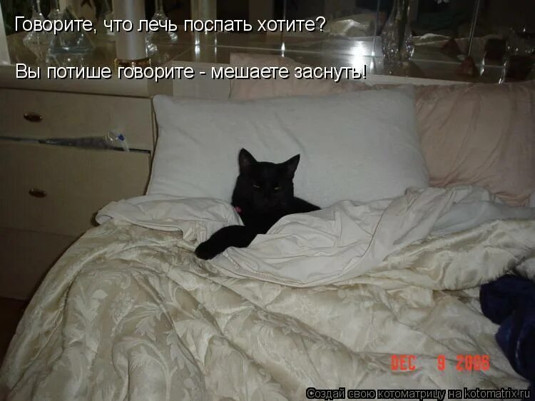 Что делать если не хочется спать. Юмор про сон и студента. Стих про укладывание спать кота. Дайте поспать. Я люблю спать а спать любит меня картинка.