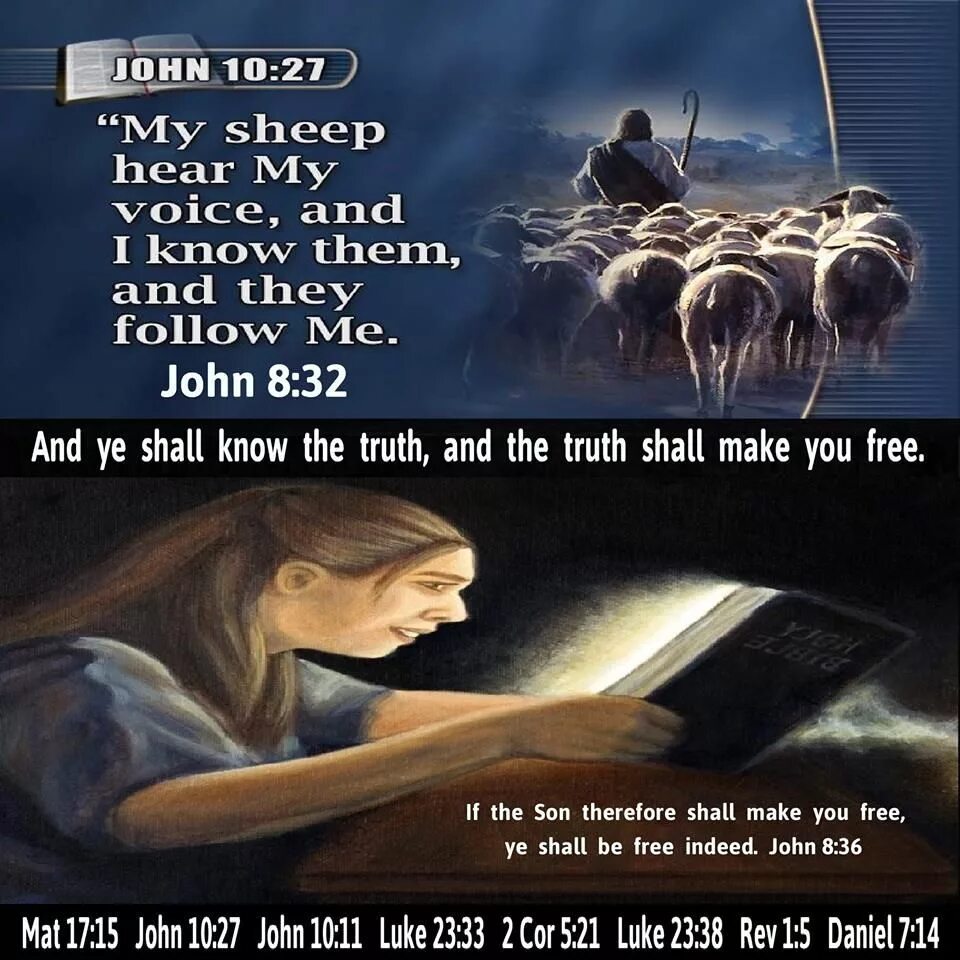 The truth shall. The truth shall. The truth shall. Девизы спецслужб. Картинки с цитатами из библии.