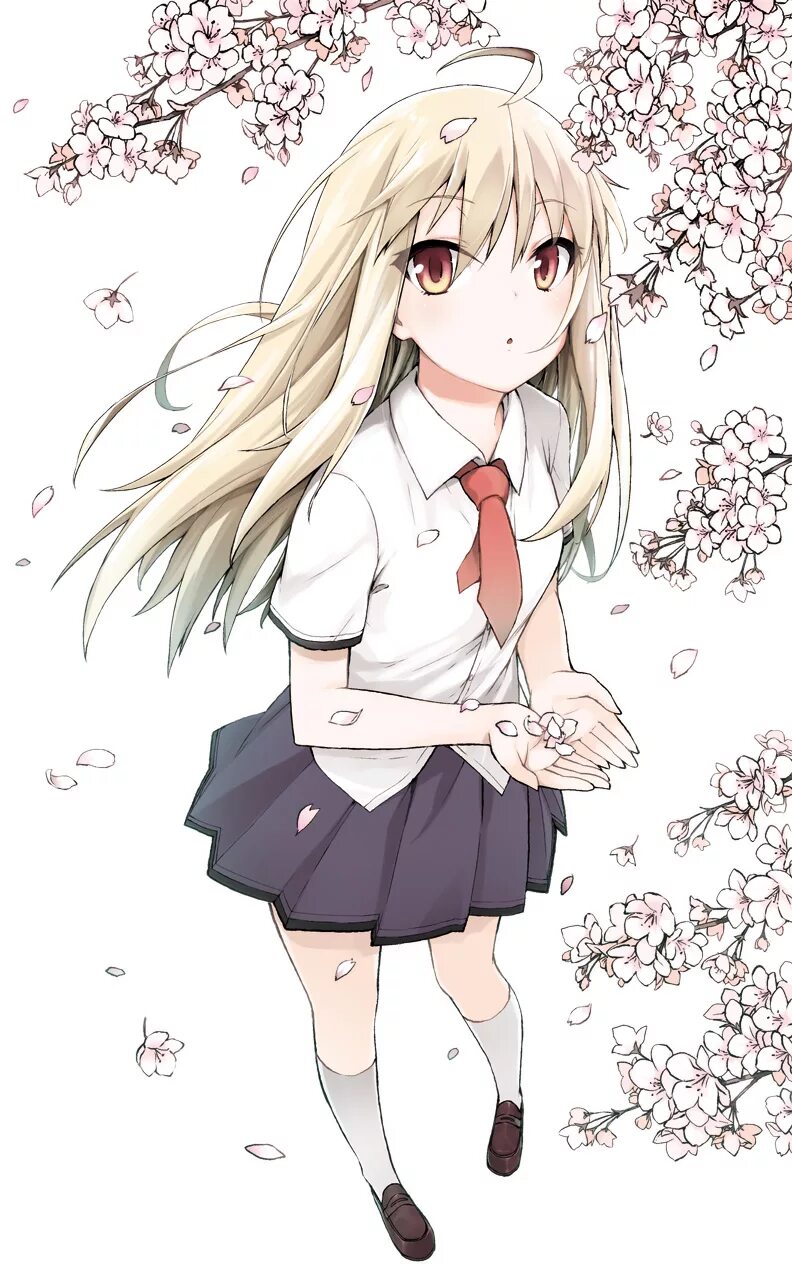 Сакура сан. Сакурасо маширо. mashiro shiina. кошечка из сакурасо маширо. масиро сиина арт.