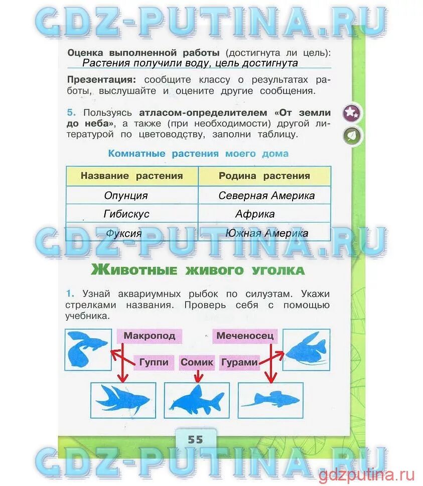 Окружающей 2 класс 1 часть ответы