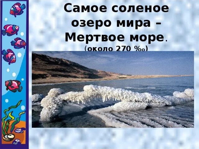 Мертвое море самое соленое. Самое соленое озеро Миа. Самое соленое море в мире Мертвое.