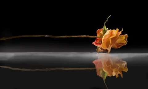 Lie flower