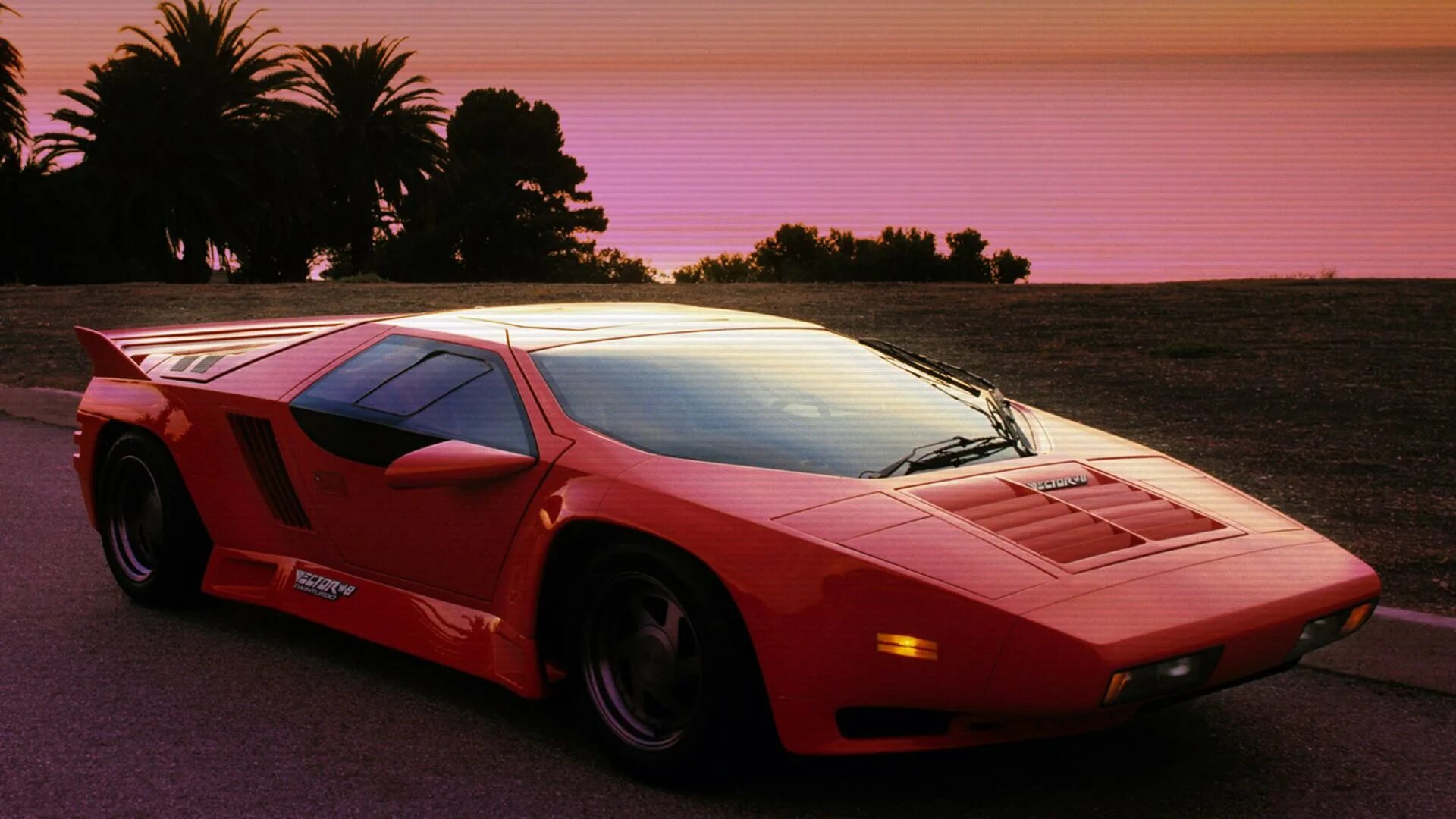 Vector w