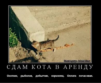 Добытчик