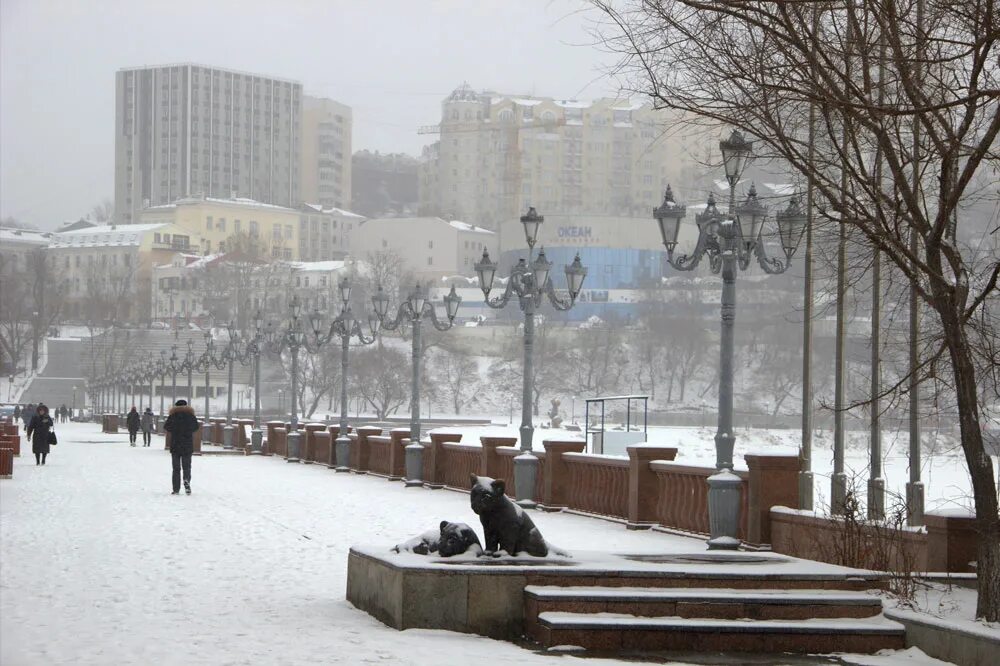 Владивосток зима набережная. Зимний Владивосток набережная. Город Владивосток зимой. Владивосток достопримечательности зимой. Владивосток климат зимой