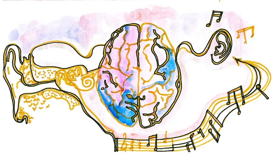 Музыкотерапия. Мозг и музыкальные инструменты. Влияние музыки. Музыкотерапия в современном мире.