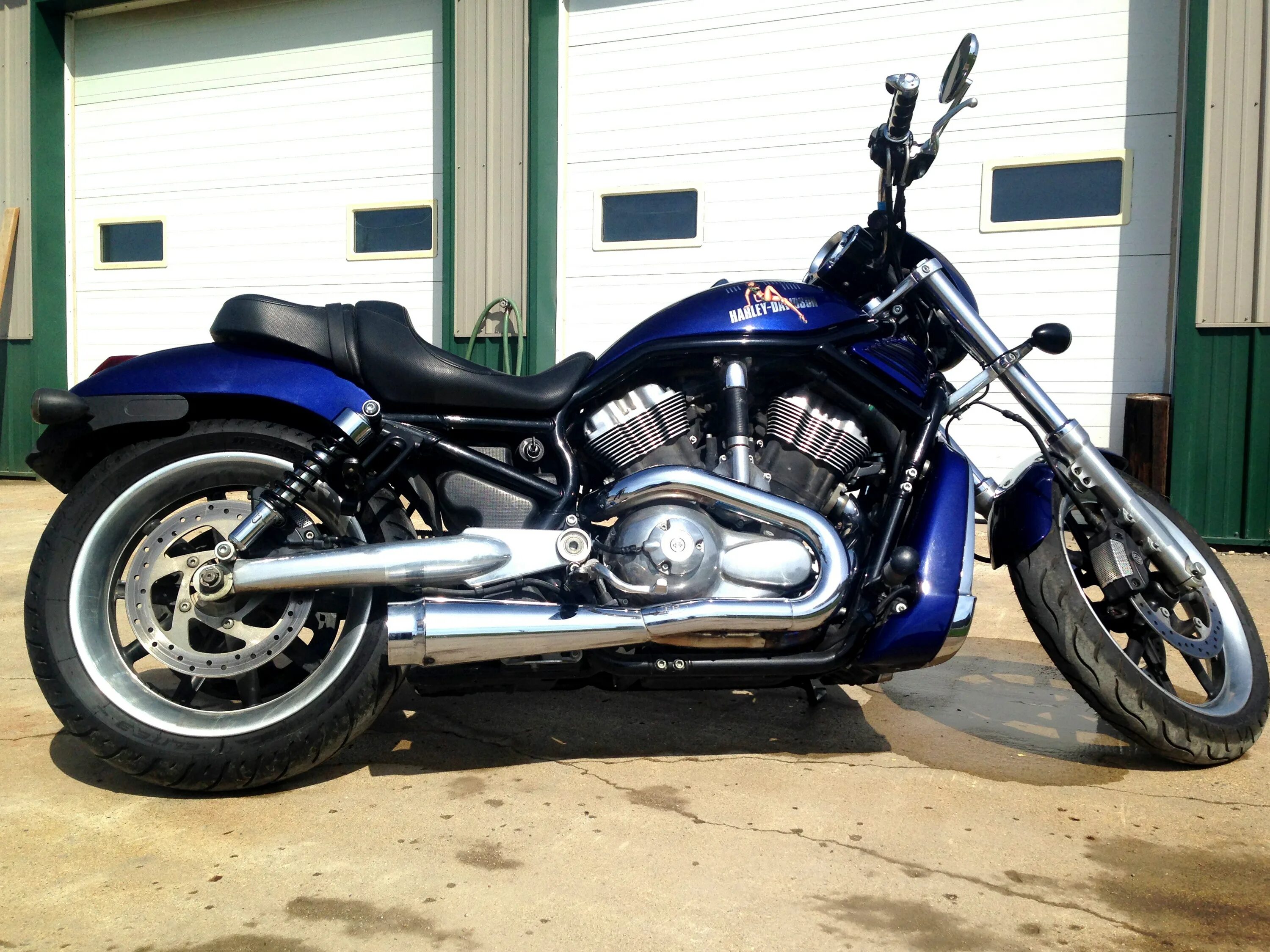 харлей дэвидсон авито