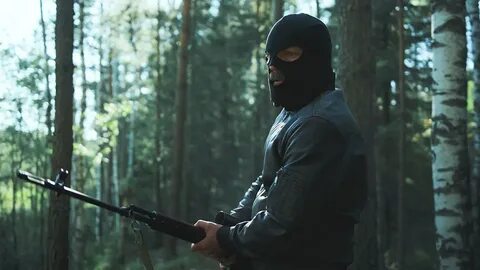 Закон тайги дата выхода серий