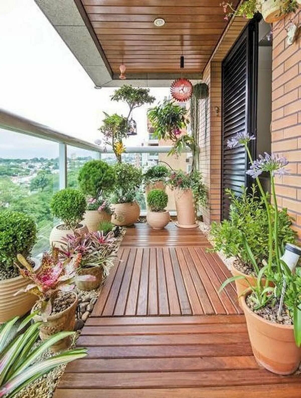 Цветы для террасы. Озеленение патио. Озеленение балкона. Озеленение веранды. Растения для террасы.