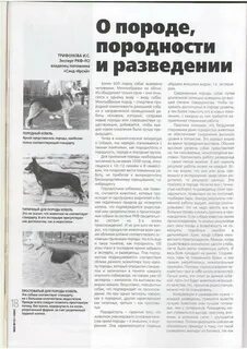 Признаки пород собак