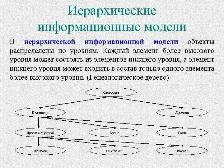 Информационная модель группы. Иерархическая информационная модель. Иерархическая информационная модель пример. Иерархия информационного моделирования. Модель распределения объектов.