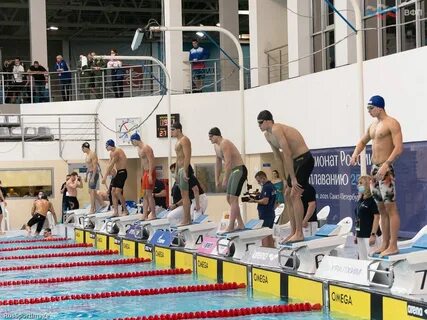 Чемпионат москвы по плаванию 2024