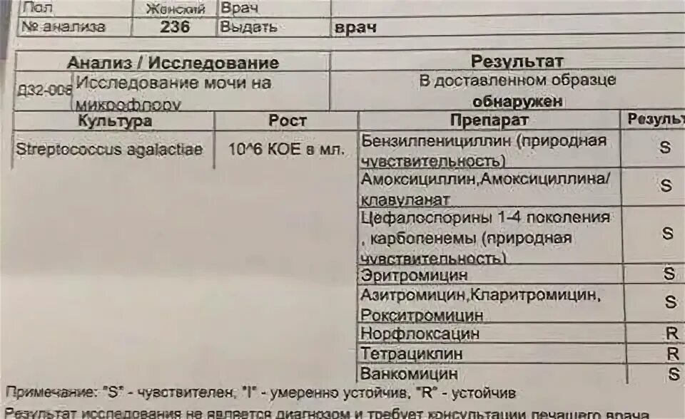 Стрептококк в мазке при беременности 3 триместр. Норма стрептококка в мазке у беременных. стрептококк агалактия в мазке при беременности норма. стрептококк 10 в 3 при беременности. streptococcus agalactiae в моче норма.
