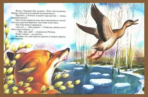Рассказы бианки хитрый лис и умная уточка