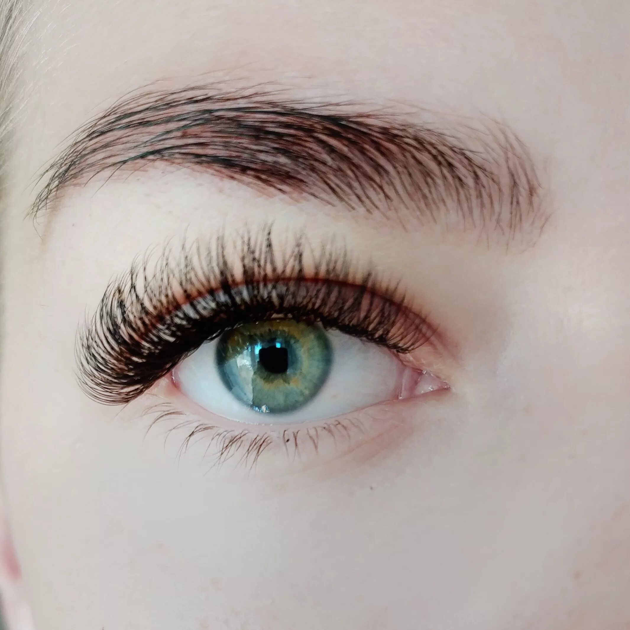 ресницы 1д классика. ресницы 2д классика. наращивание ресниц классика 1d. нарощенные ресницы классика д. нарощенные ресницы классика д.