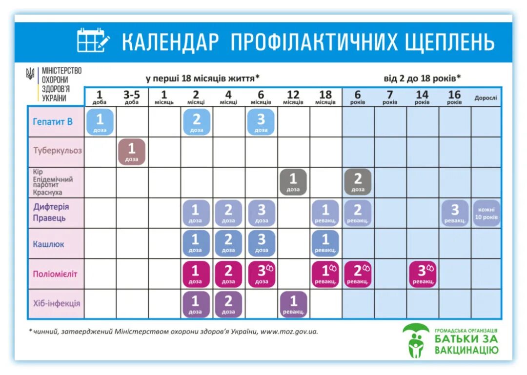 Гепатит а календарь. Национальный календарь прививок Украина. Календарь вакцинации. График прививок для детей. Календарь вакцинации детей.