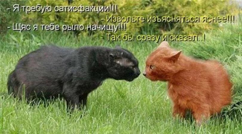 Изъясняться это
