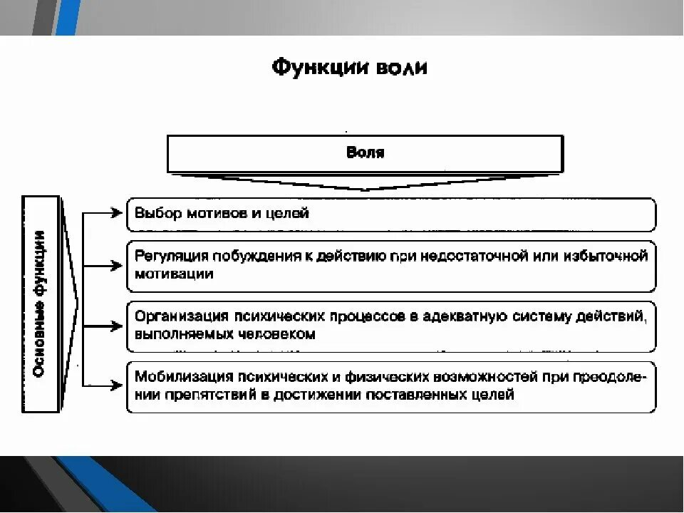 Волевые качества особенности. Структурно-логическую схему «функции воли».. Функции воли в психологии схема. Функции воли в психологии в психологии. Воля функции воли.