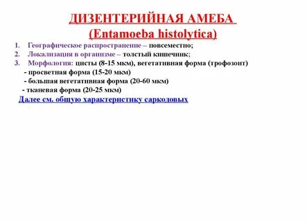 Локализация дизентерийной амебы в организме человека