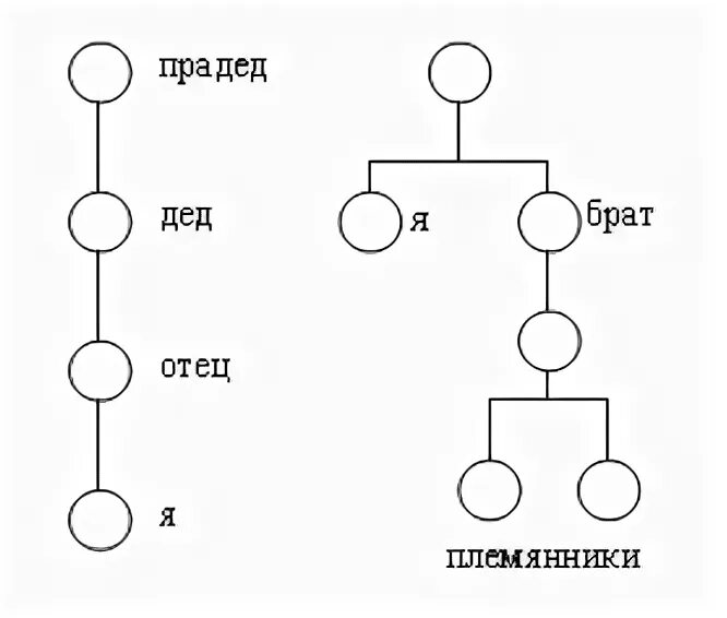 Родственники по восходящей линии. Линии родства. Степень родства. Линия родства в родословной. Прямая восходящая линия родства это.