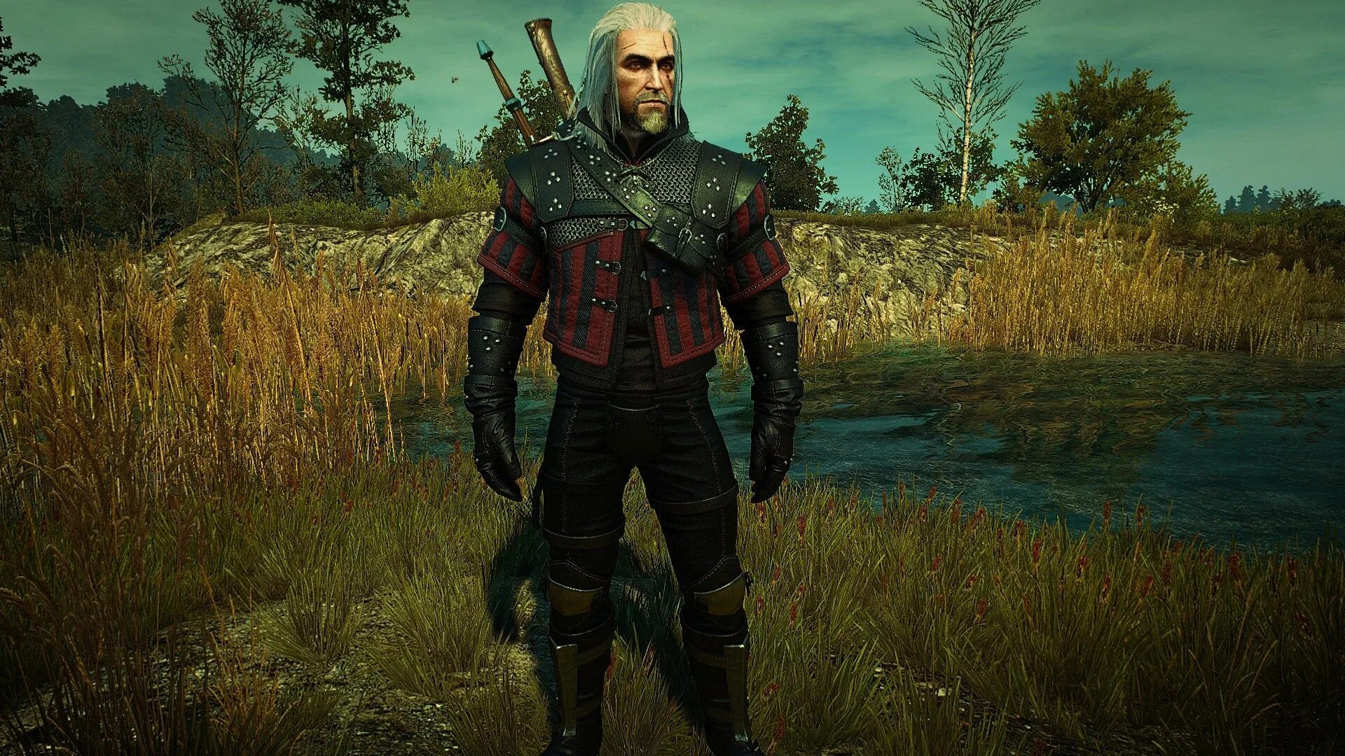 Witcher 3 set