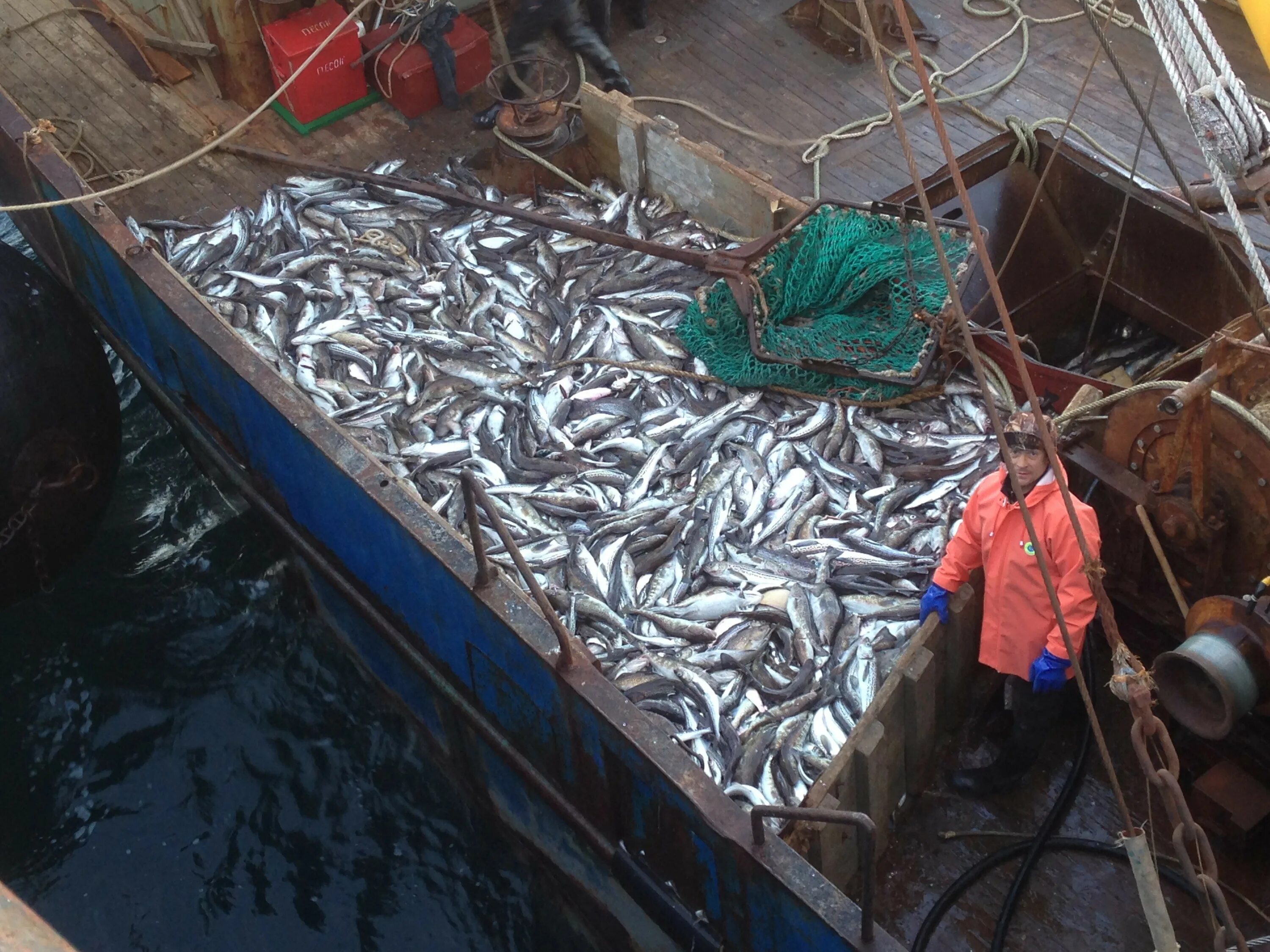 Корякморепродукт логотип. Корякморепродукт владивосток. Восток-1 рыболовецкий колхоз владивосток. Владивосток рыбодобывающие компании вакансии. Рмс мыс турали ооо корякморепродукт.