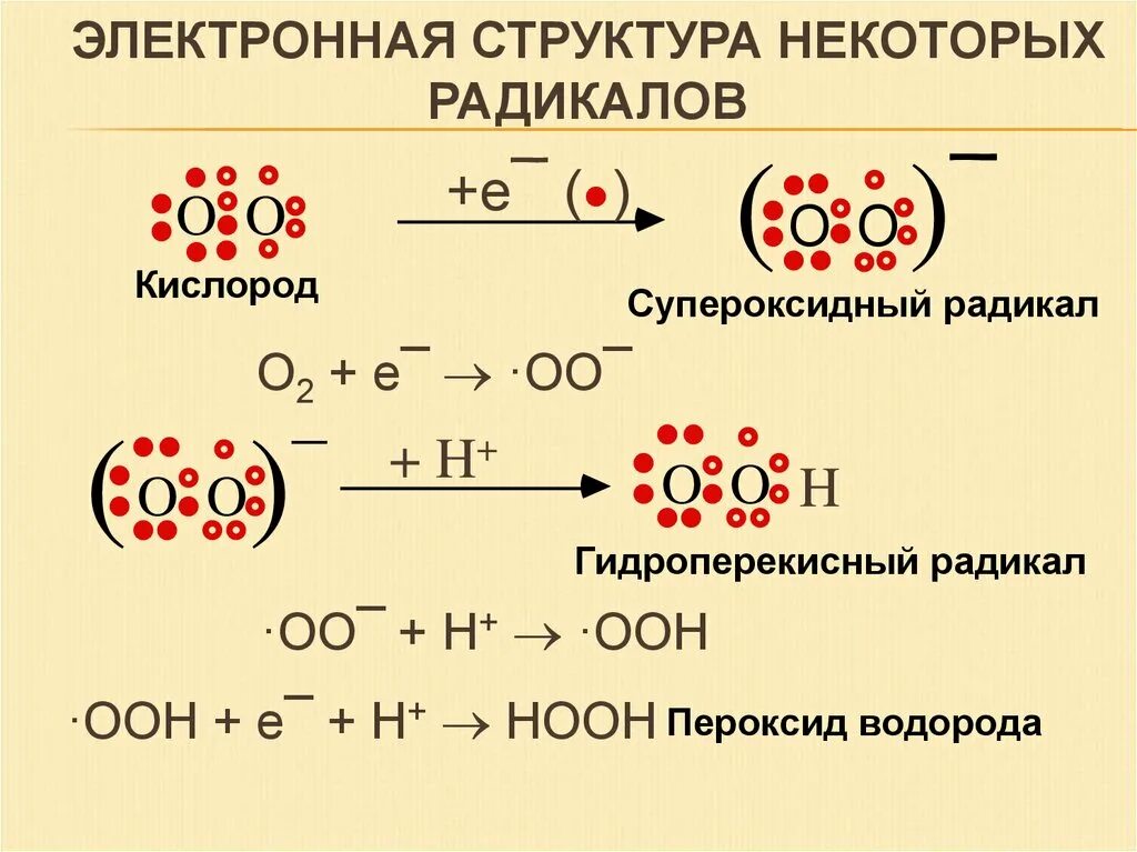 Супероксидный радикал. Активные формы кислорода свободные радикалы. Схема образования активных форм кислорода. Активные формы кислорода пероксиды. Схема образования свободных радикалов.