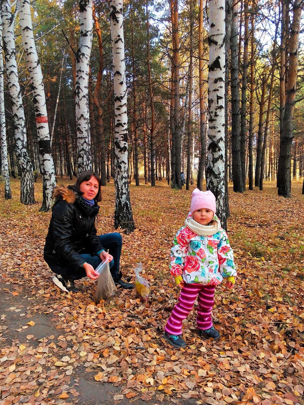 Мимимишки поляна. Мимимишки 234 серия. Мимимишки по лесу собирают шишки. Иннокентий мимимишки. Мимимишки домик кеши.