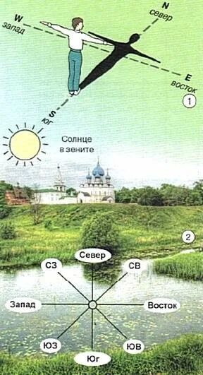 Север юг запад восток расположение как определить Карта с полюсами север юг запад восток Фотоподборки 1