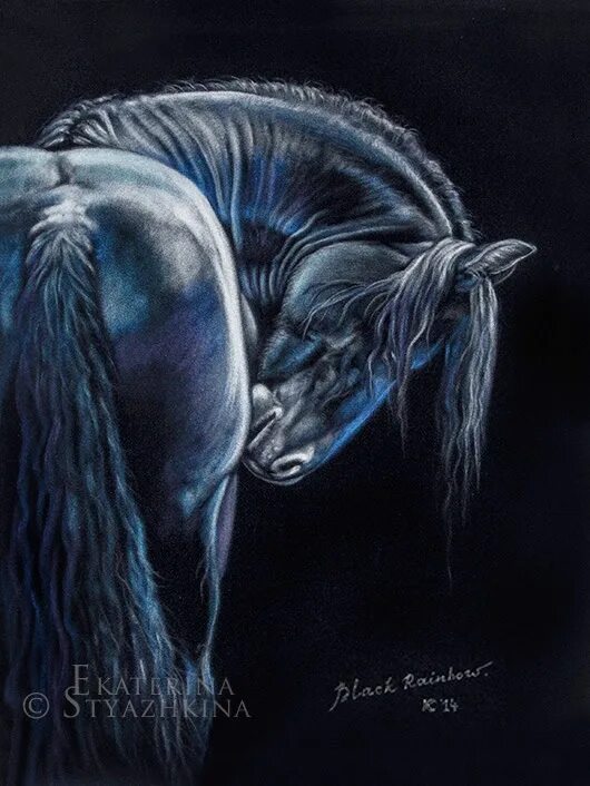 черно белые фотографии лошадей. оптическая иллюзия черный конь. оптические иллюзии. оптическая иллюзия черный конь. иллюзия движения.