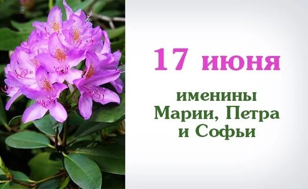 17 июня 2 июля. 17 Июня день ангела. Именинники 17 июня. Праздники дня 17 июня.