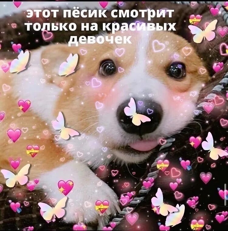 Пикча хорошо. Милая открытка пикча. милые пикчи с днем рождения. милые пикчи для поддержки. милые пикчи для девушки.