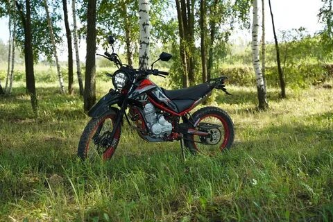 Ataki tourist 300
