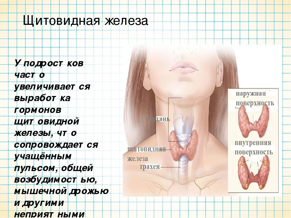 Повышена функция щитовидной. Щитовидная железа у детей. Заболевания щитовидки. Патология щитовидной железы. Нарушение щитовидной жел.