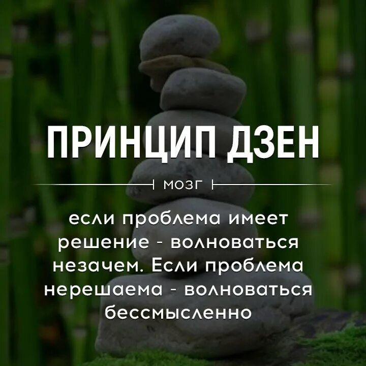 Дзен стильно не значит. Принцип дзен если проблема. принцип дзен если проблема имеет решение. смешные высказывания дзен. дзен цитаты.
